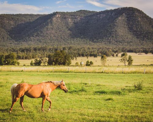 gunnedah-new-south-wales-(12)